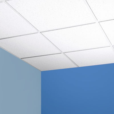 Project Solutions Capability Mineral Wool Ceilings Square Edge Acoustic Ceiling Tiles