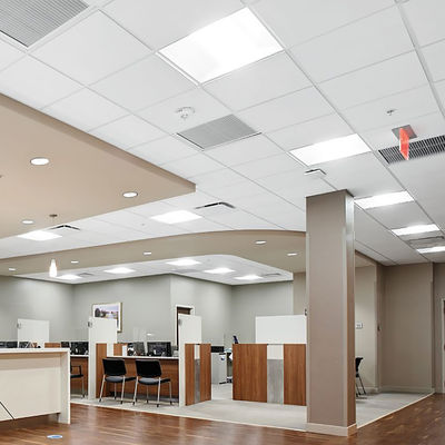 USG Product 2X4 Mineral Fiber Acoustic Perforated Ceiling Tiles with Customized Size